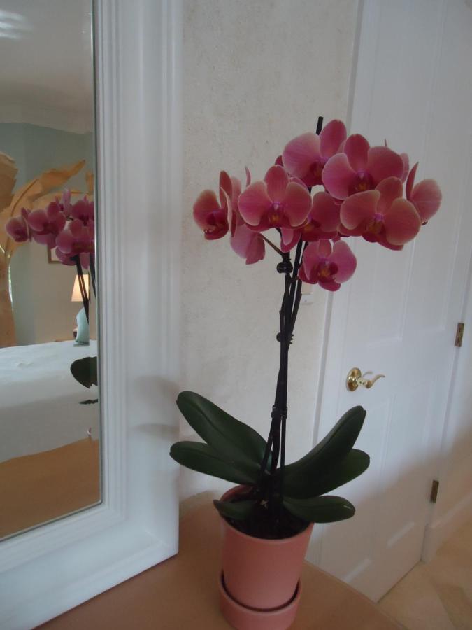 Riviera Olas Bed & Breakfast