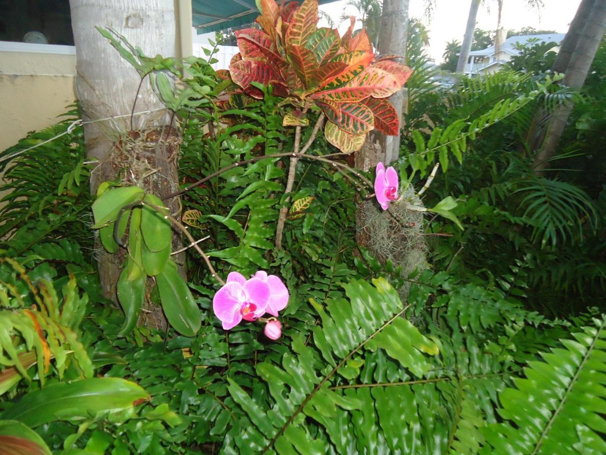 Bed & Breakfast Riviera Olas Fort Lauderdale