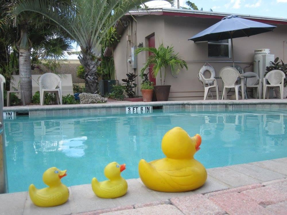 Leather Guest House-gay Male Only Fort Lauderdale