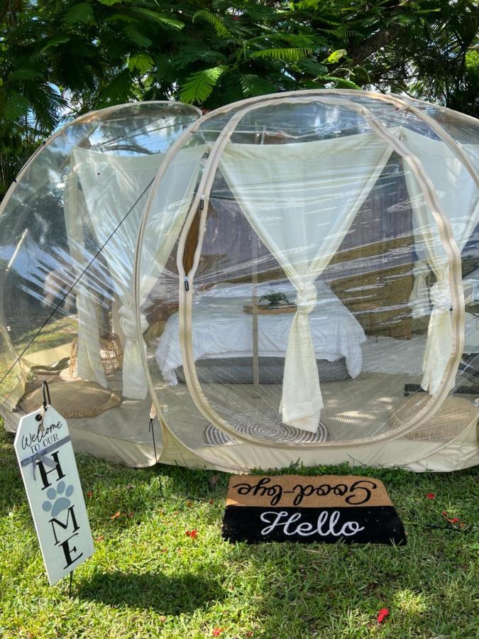 Bubble Experience