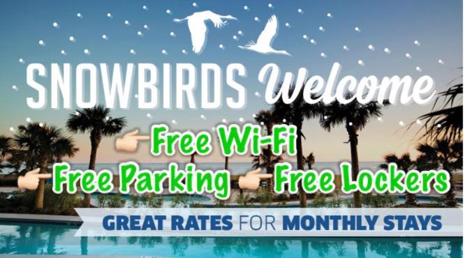 Airport Bunk House Free - Wifi - Parking - Coffee- Long Term Welcome * Fort Lauderdale