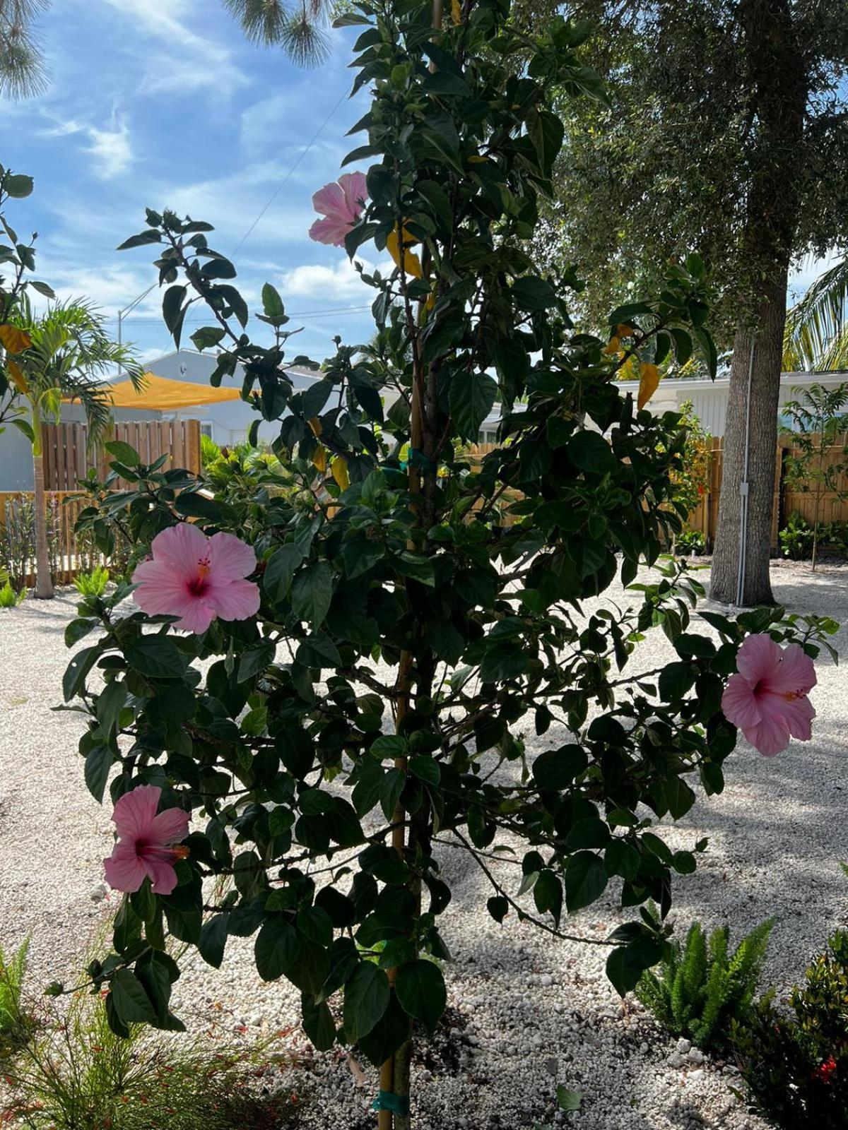 Apartment Flamingo - 5 Min To Fort Lauderdale