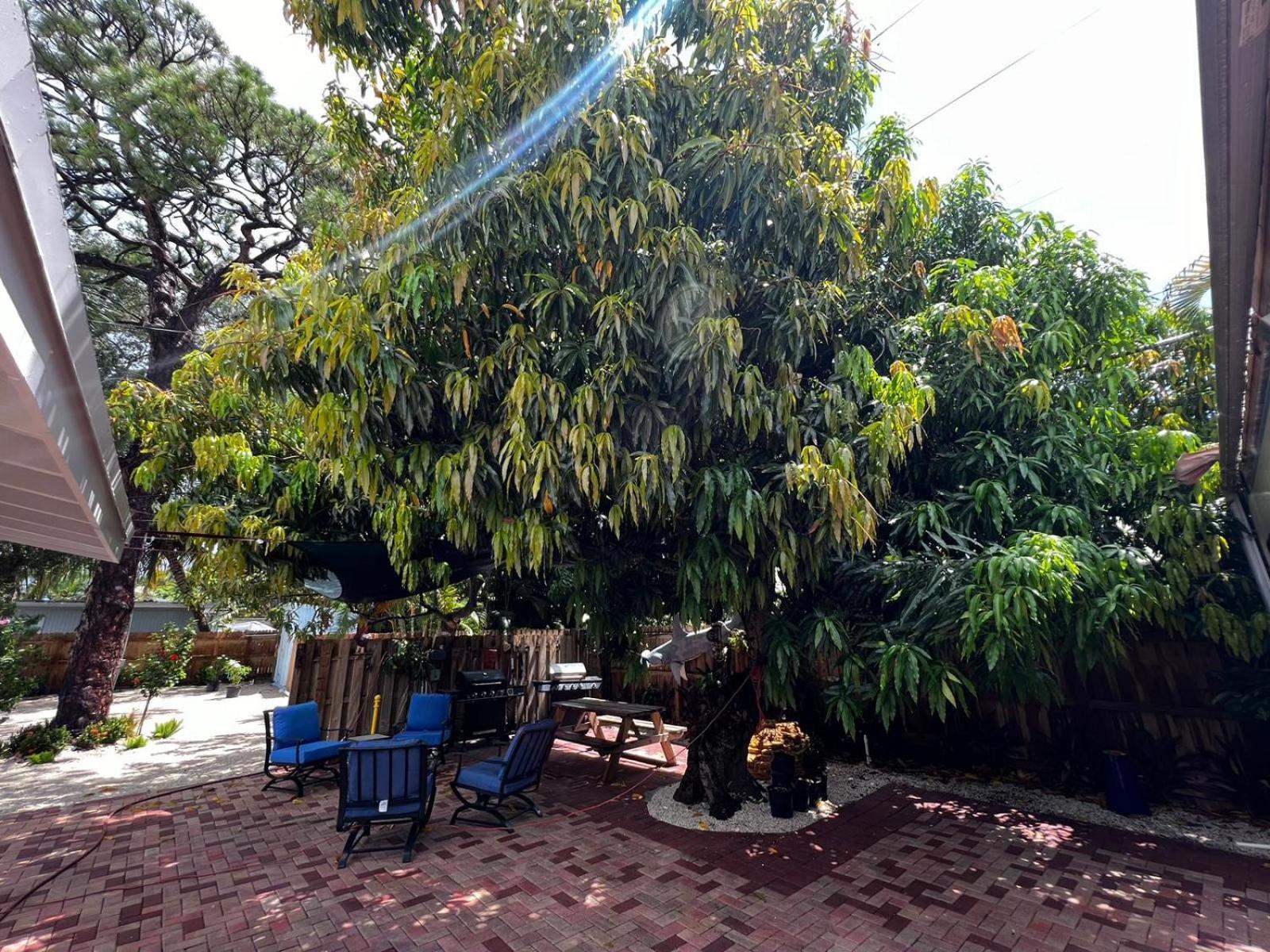 Flamingo - 5 Min To Apartment Fort Lauderdale