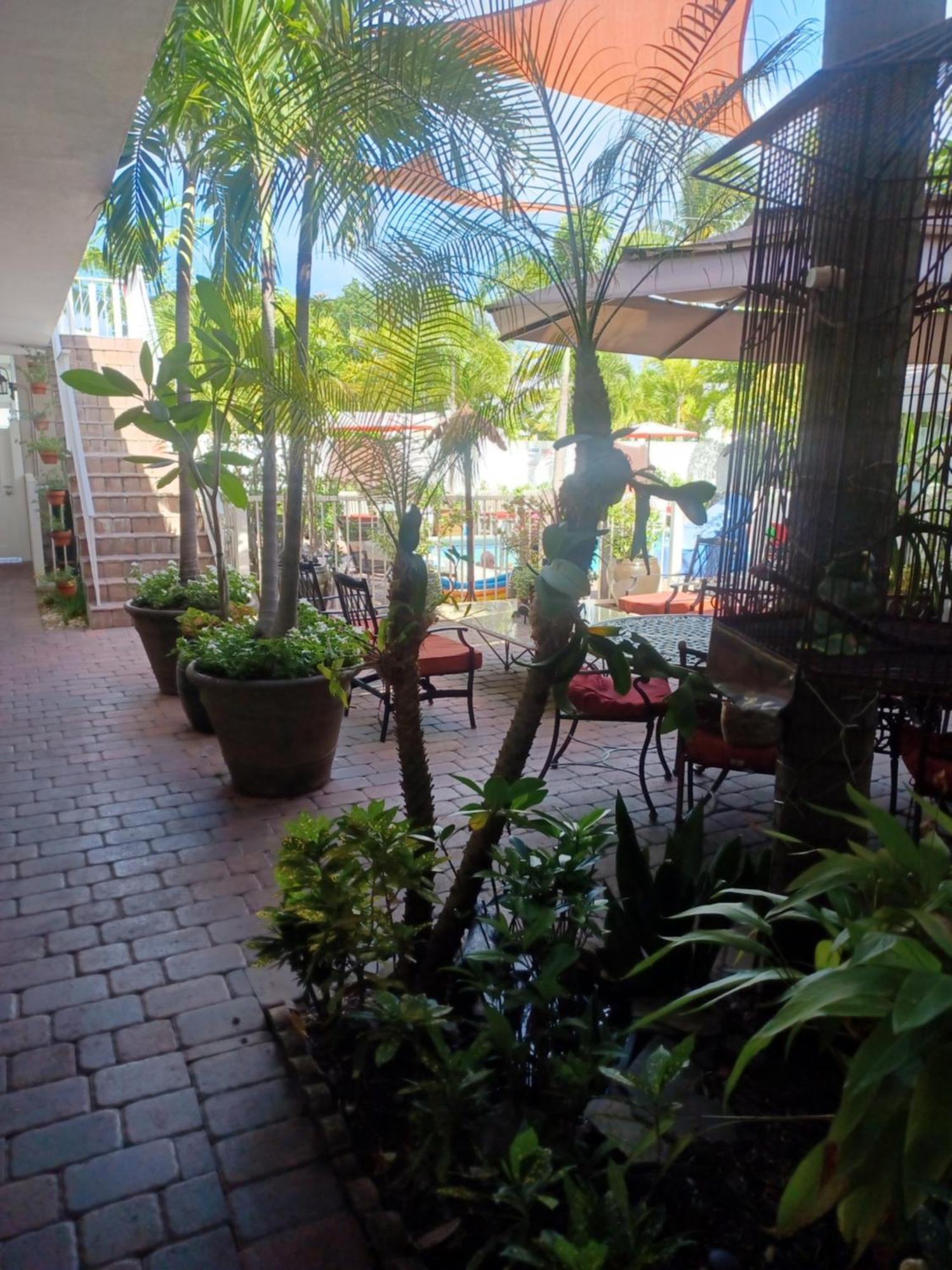 Hotel The Big Coconut - Gay Men's Fort Lauderdale