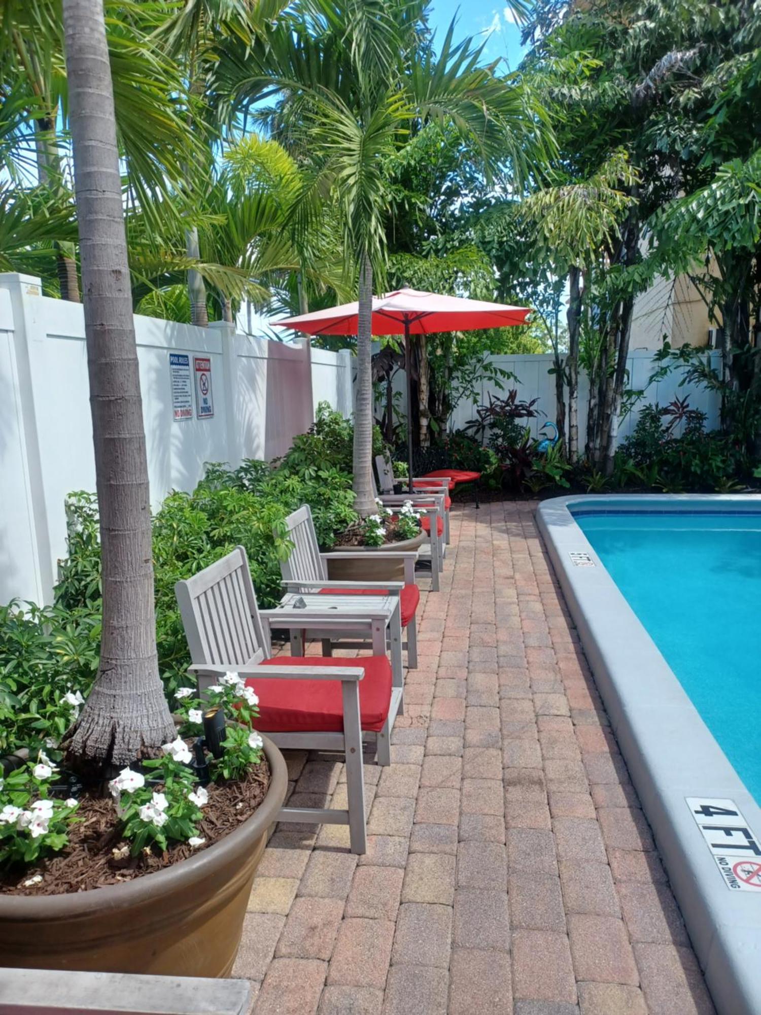 The Big Coconut - Gay Men's Fort Lauderdale