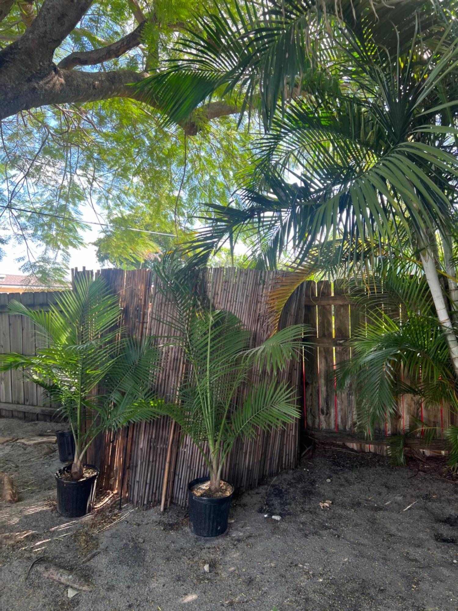 Star Gazing Glamping Holiday home Fort Lauderdale