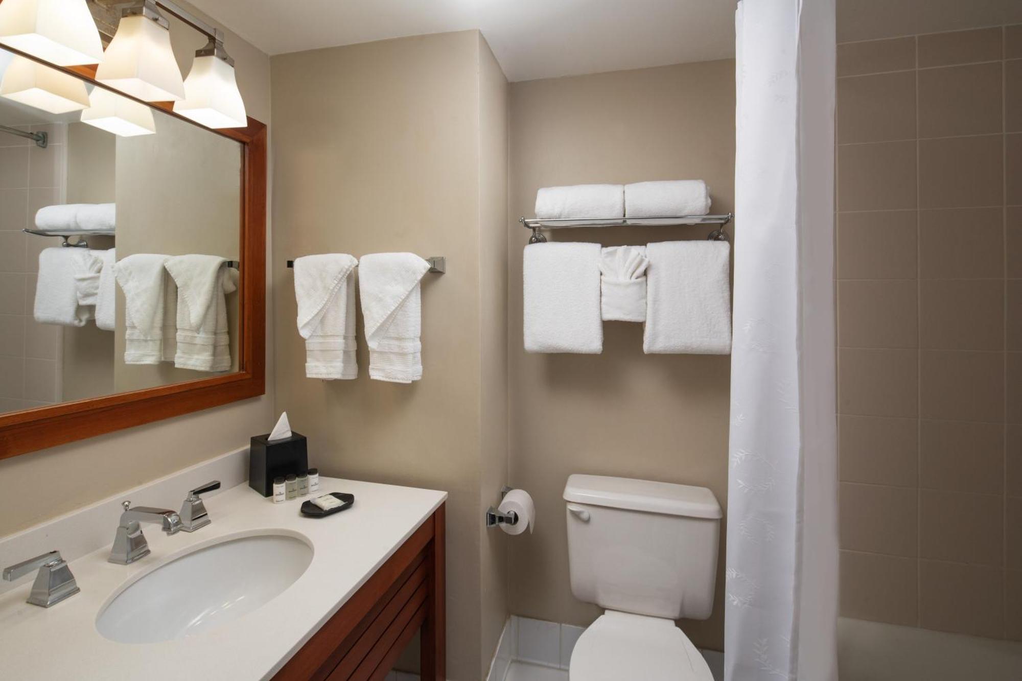 Hotel Sheraton Lauderdale At Cypress Creek