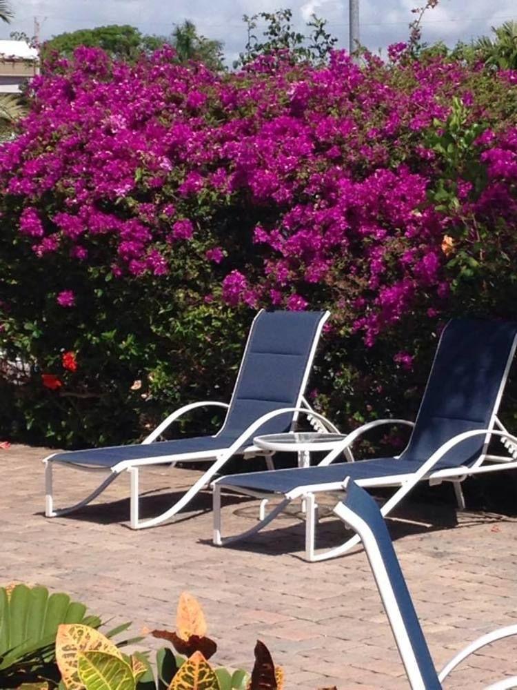 Casitas Coral Ridge Fort Lauderdale