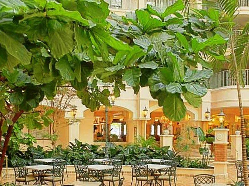 Hotel Sheraton Lauderdale At Cypress Creek