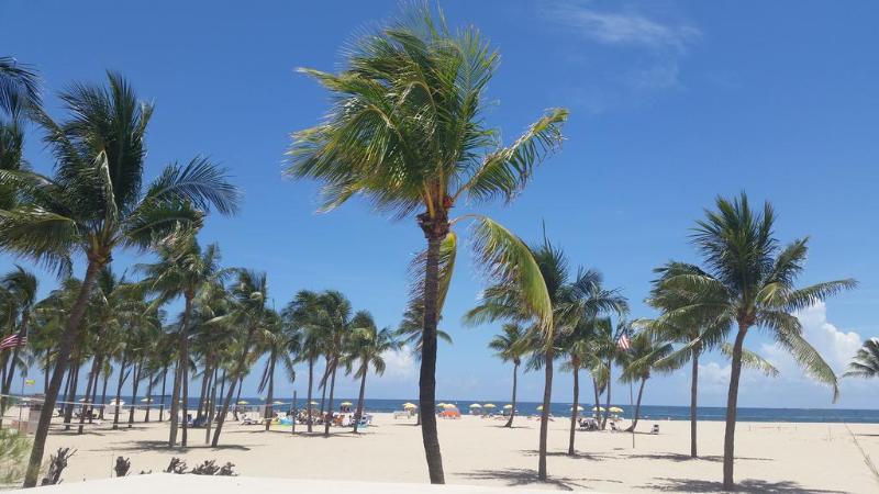 Western Ft Lauderdale I-95 Hotel 3*