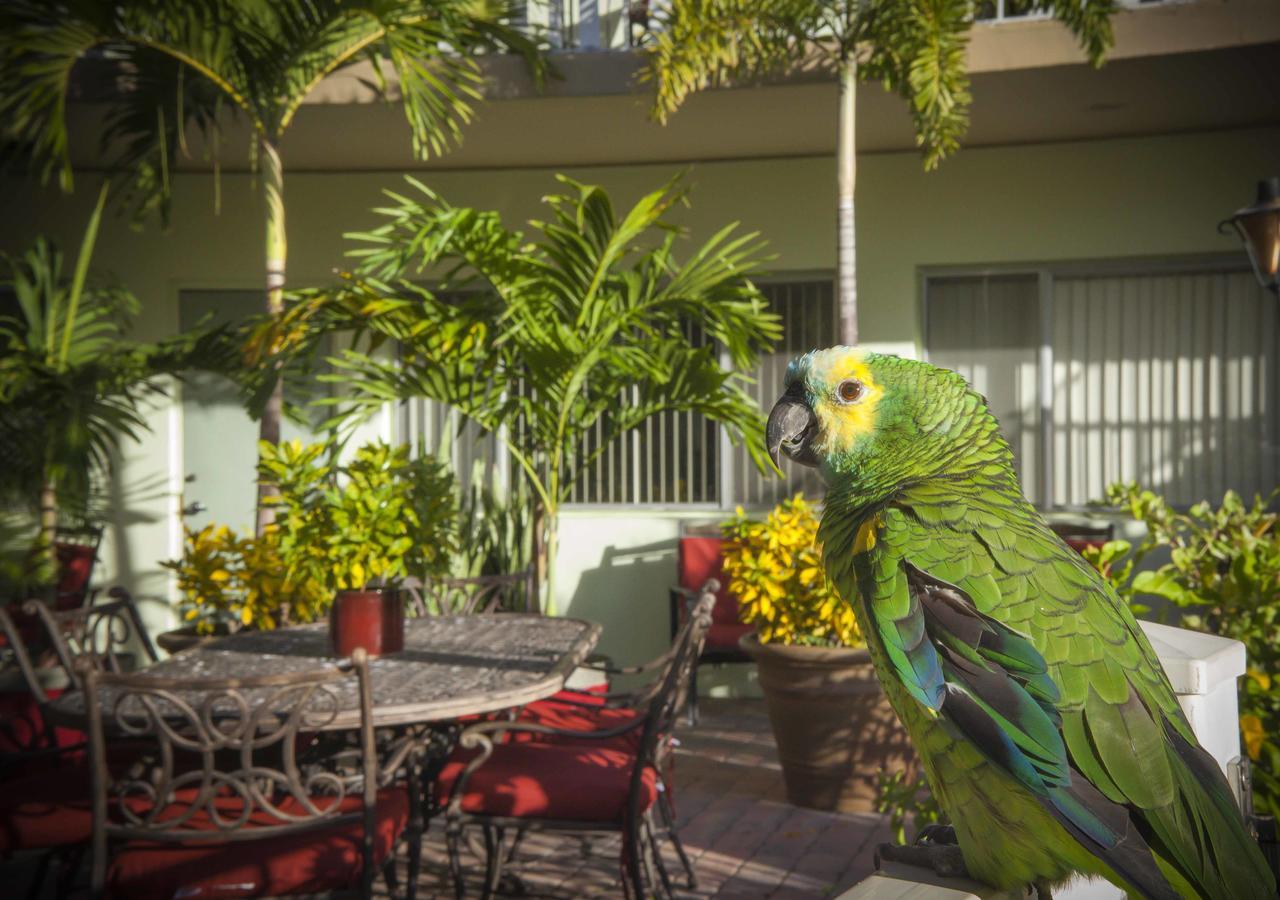 The Big Coconut - Gay Men's Hotel 3*