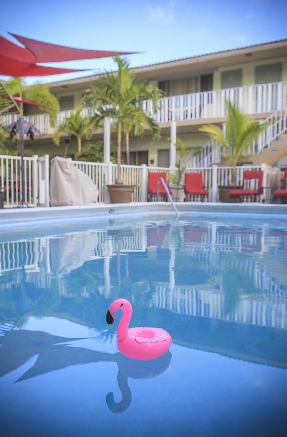 The Big Coconut - Gay Men's Hotel 3*