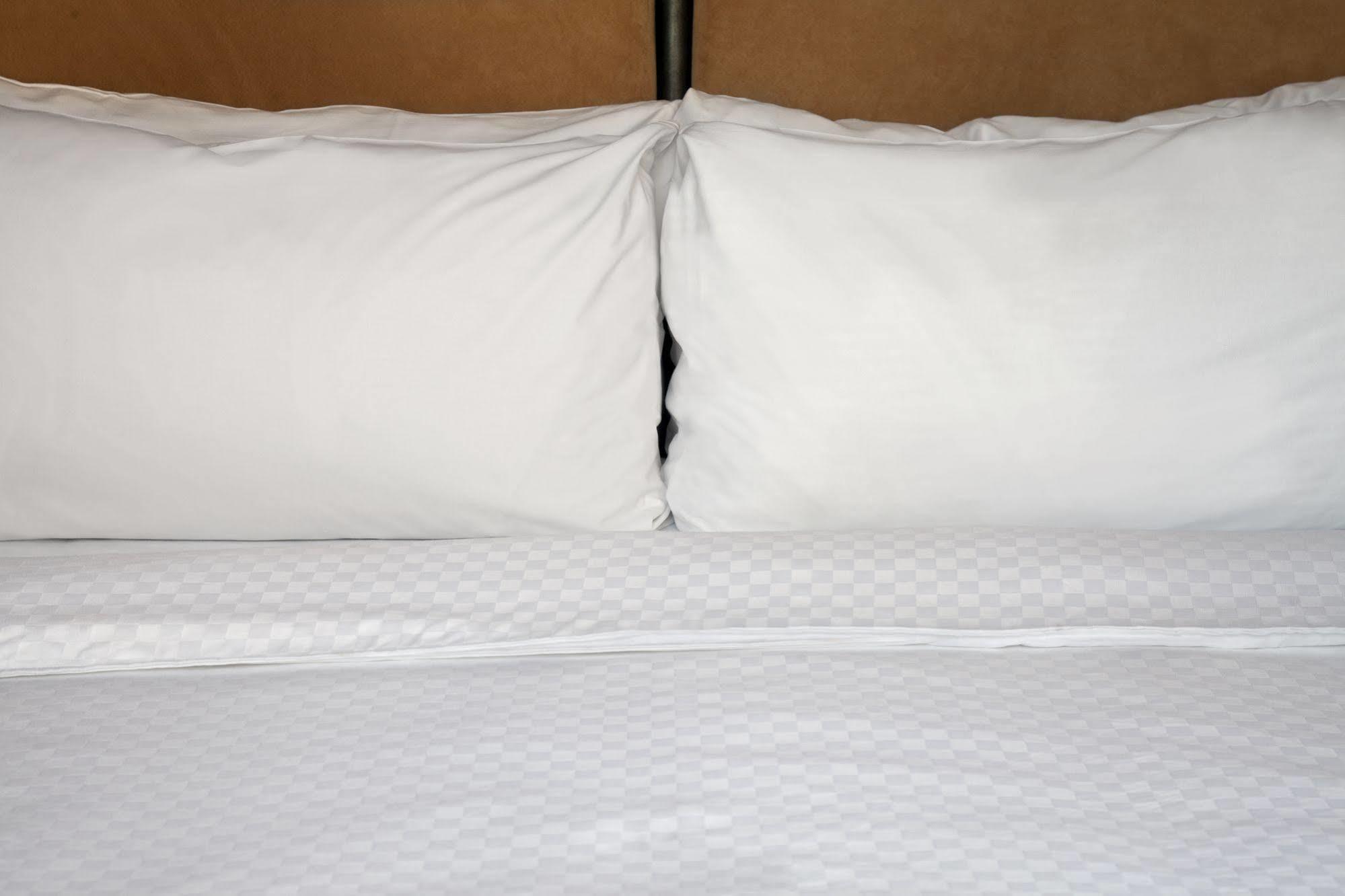 Sheraton Lauderdale At Cypress Creek Fort Lauderdale