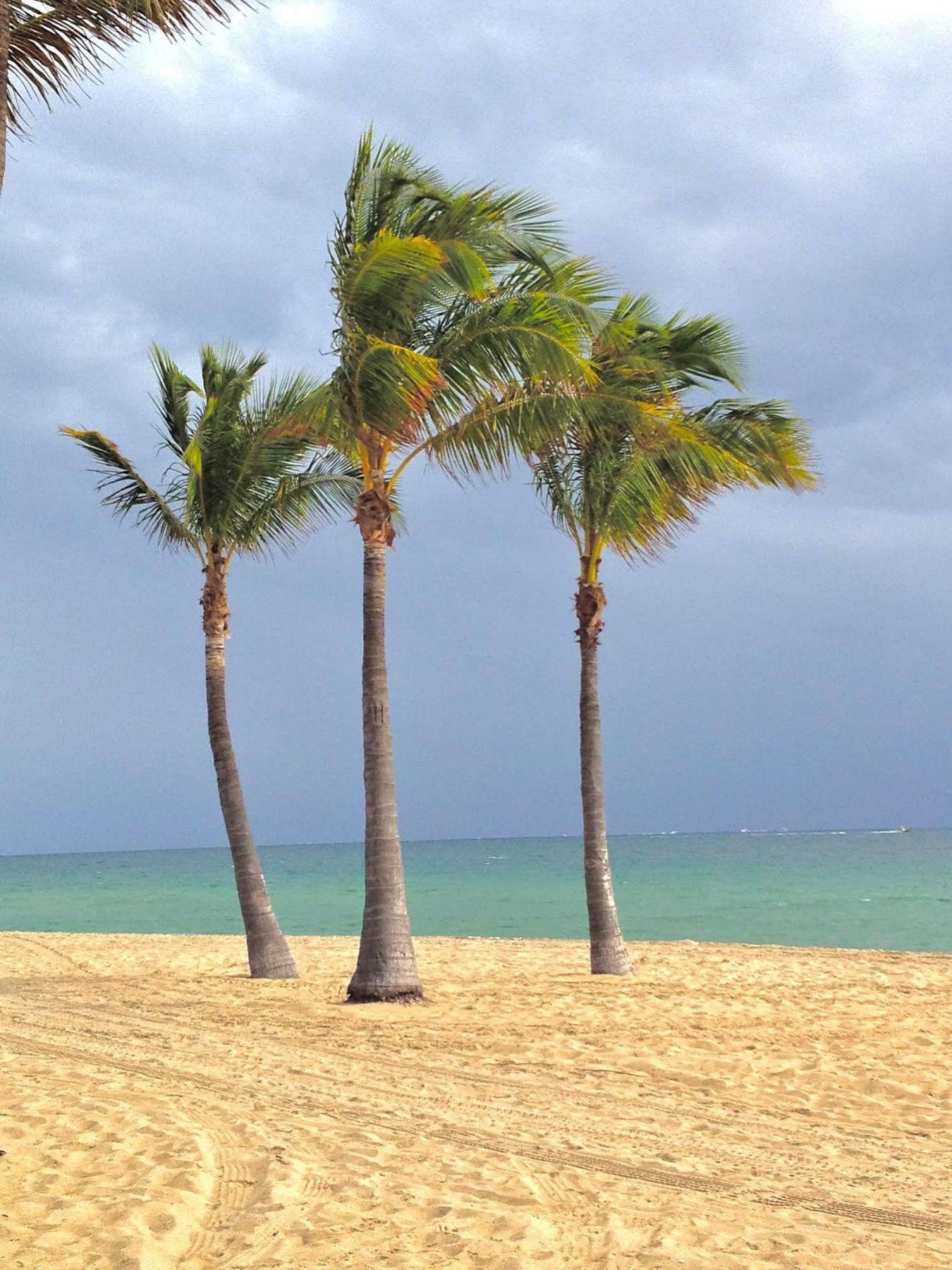 Hotel Fortuna Fort Lauderdale