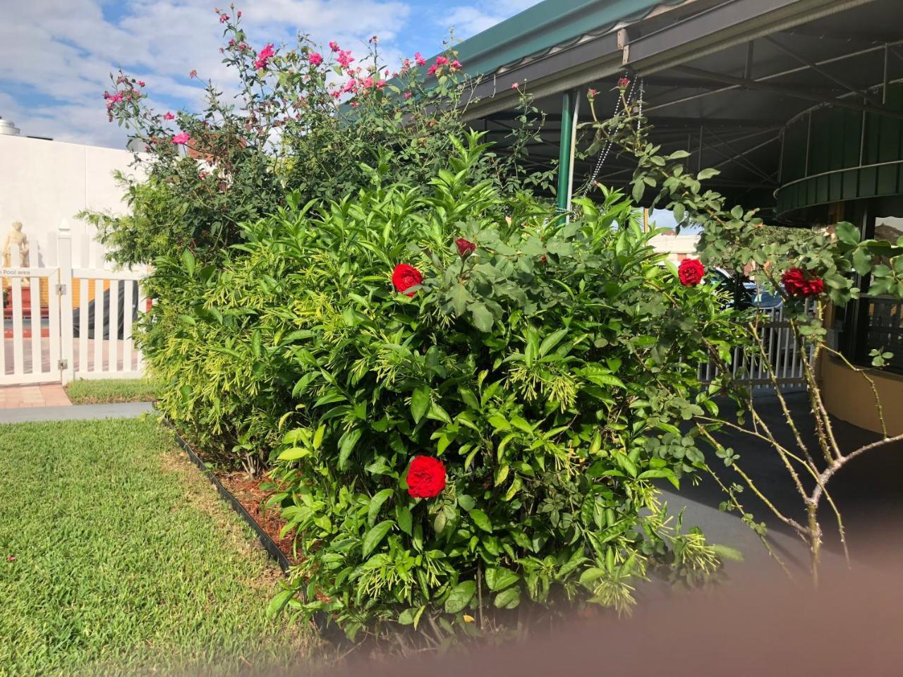 Bali Hai Motel Fort Lauderdale