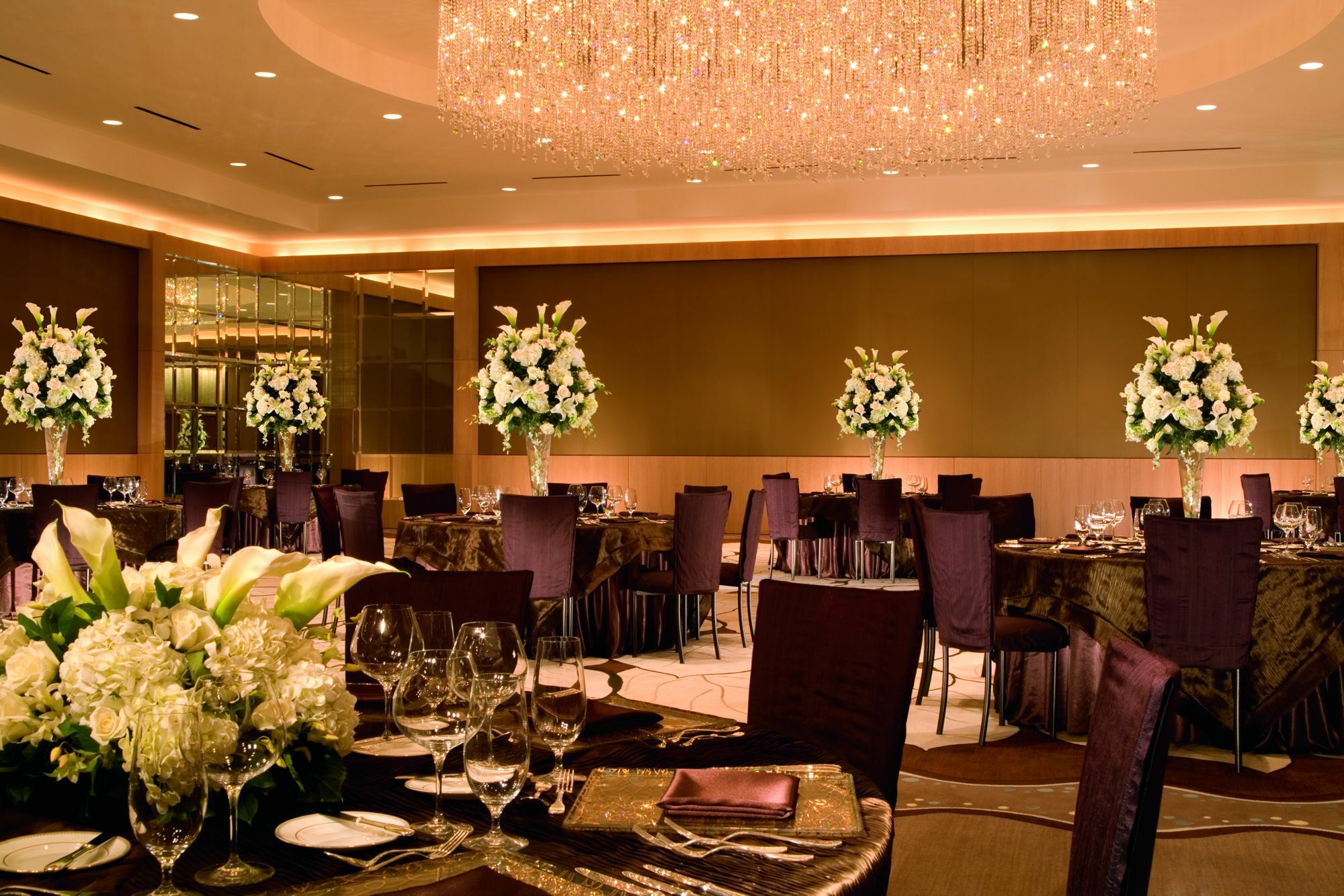 Hotel The Ritz-carlton, Lauderdale 5*